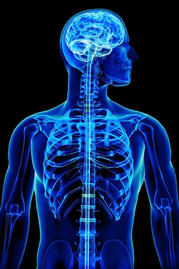 SMA (Spinal Musküler Atrofi) Nedir? Belirtileri ve Tipleri